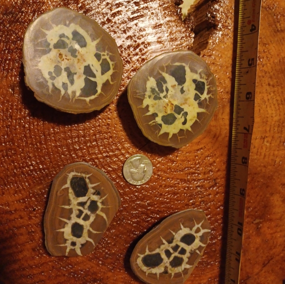 Natural sliced Septarian Nodule Set